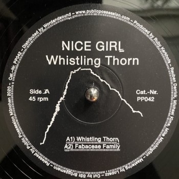 Nice Girl ‎– Whistling Thorn - Public Possession