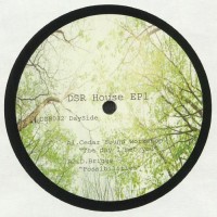 Various - DSR House EP1 - Dailysession Records
