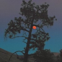 Sansibar - Sans Musique 2xLP - Kalahari Oyster Cult
