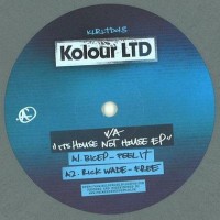 Bicep / Rick Wade / DJ Sprinkles - It's House Not House EP - Kolour LTD