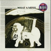 Pepe Bradock - What A Mess ! (LP, ALBUM, LTD 1000, SERIAL WHAT A MESS! MIXED TECHNIQUES) - Atavisme