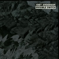 Joey Anderson - Invisible Switch - DEKMANTEL 029