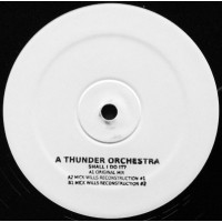 A Thunder Orchestra ‎- Shall I Do It - Bio Rhythm ‎– RHYTHMZ-DOT