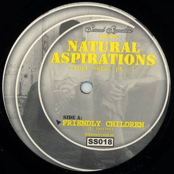 Theo Parrish - Natural Aspirations - Sound Signature 