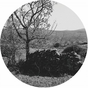 Dices presents Untitled Gear - Fields & Forests 1 - Fields & Forests